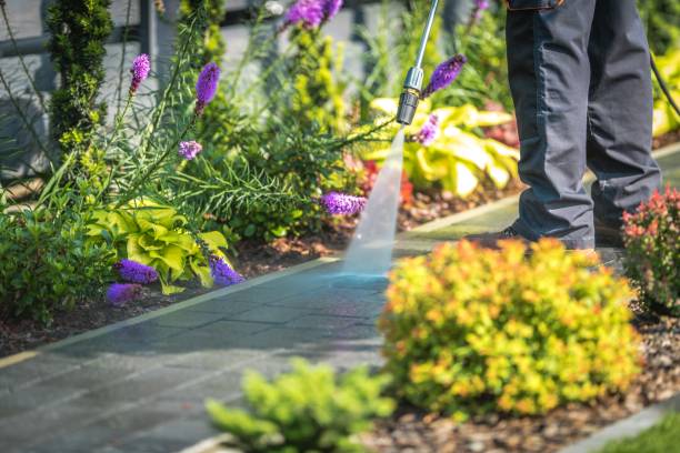 Best Soft Washing for Delicate Surfaces in Rockville Centre, NY