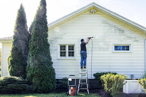 Best Vinyl Siding Pressure Washing in Rockville Centre, NY